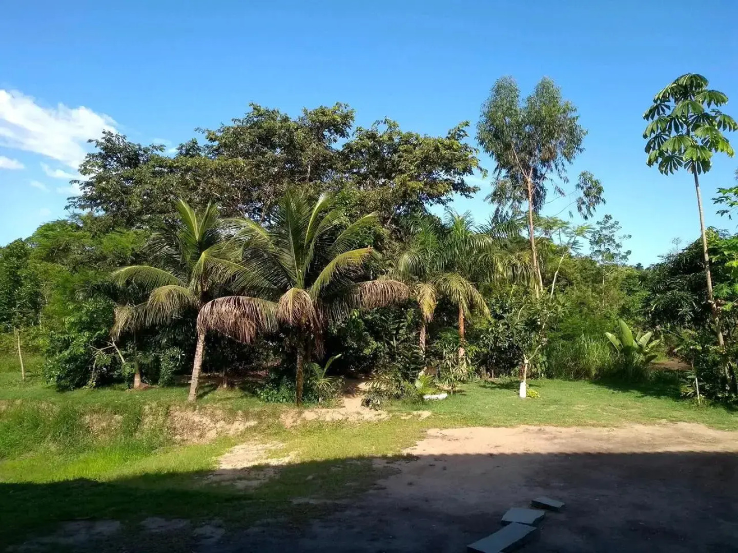 Quinta Das Palmeiras