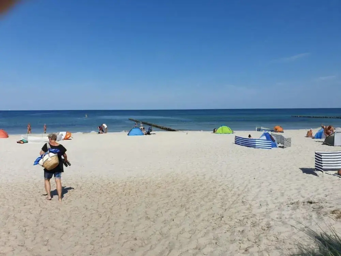 Herring Gull Modern Retreat