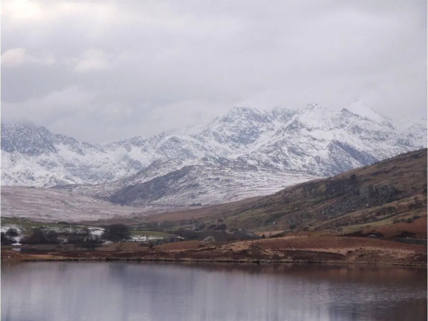 Britannia Guest House