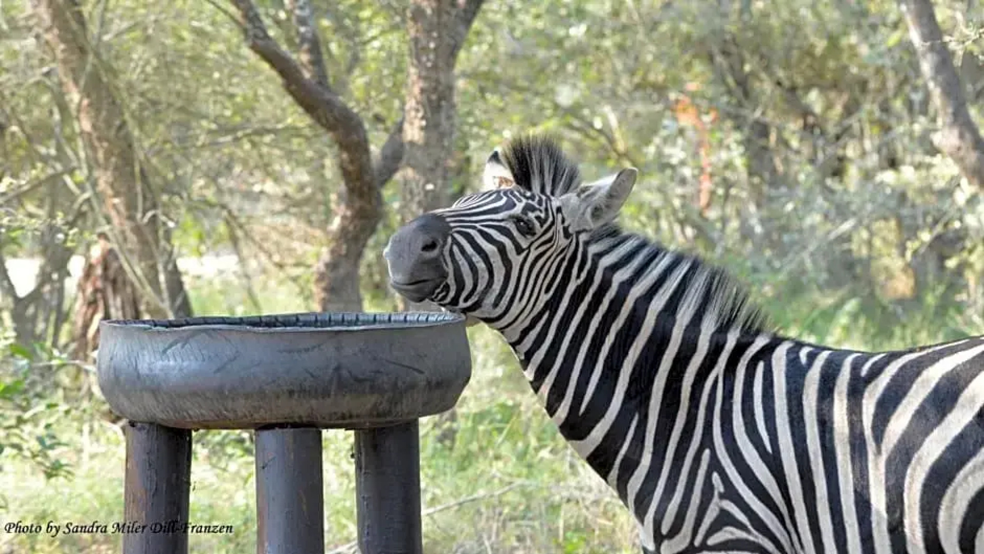 Ubuntu Bed and Breakfast