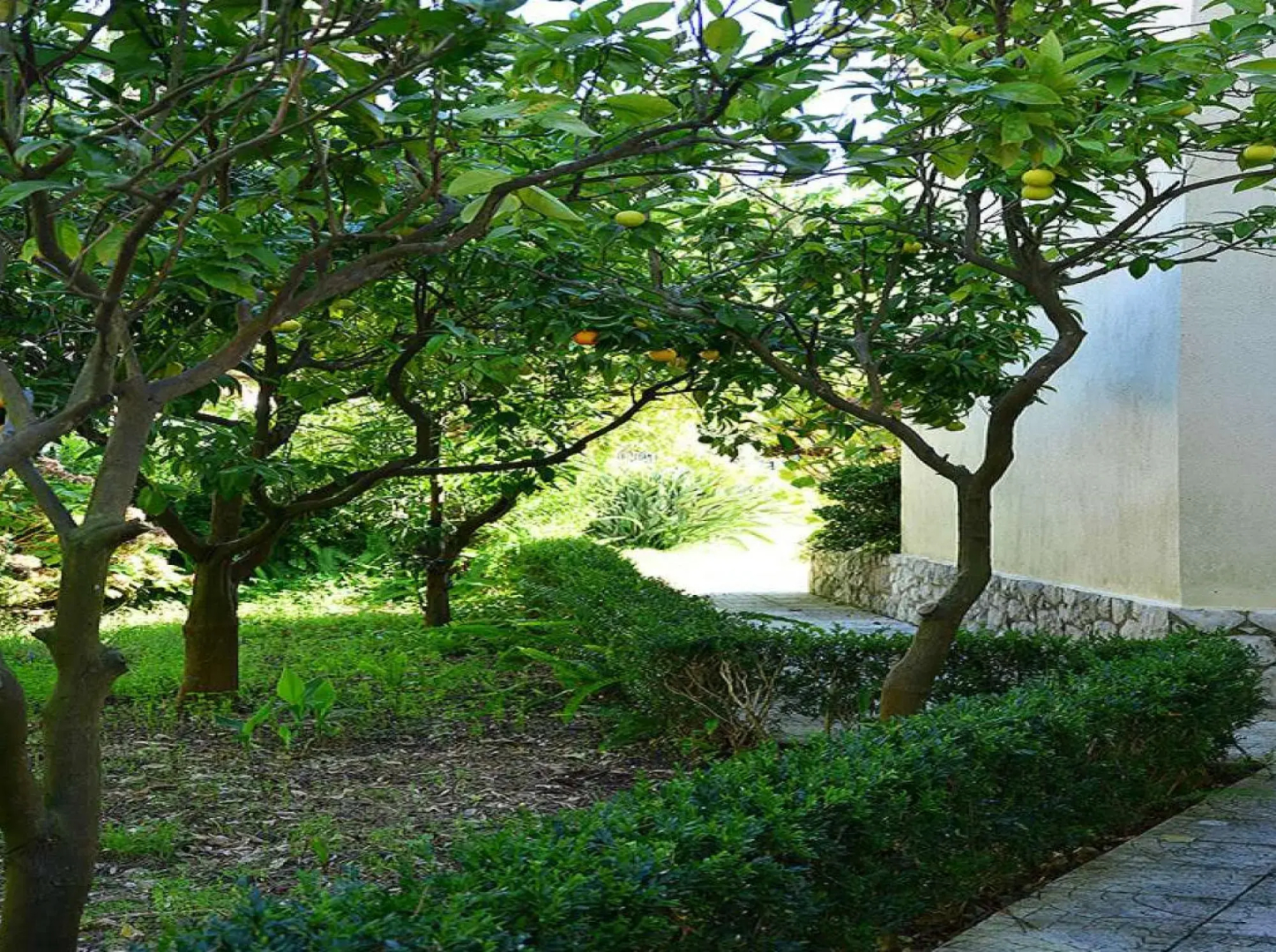 Villa Verdizela II (AL)