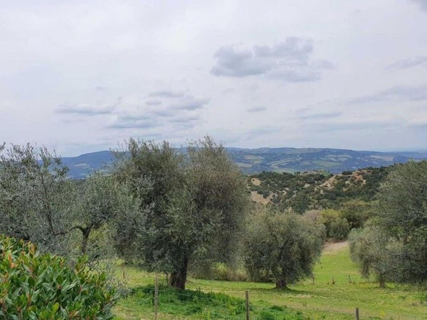 Tuscan Scenic View Stay