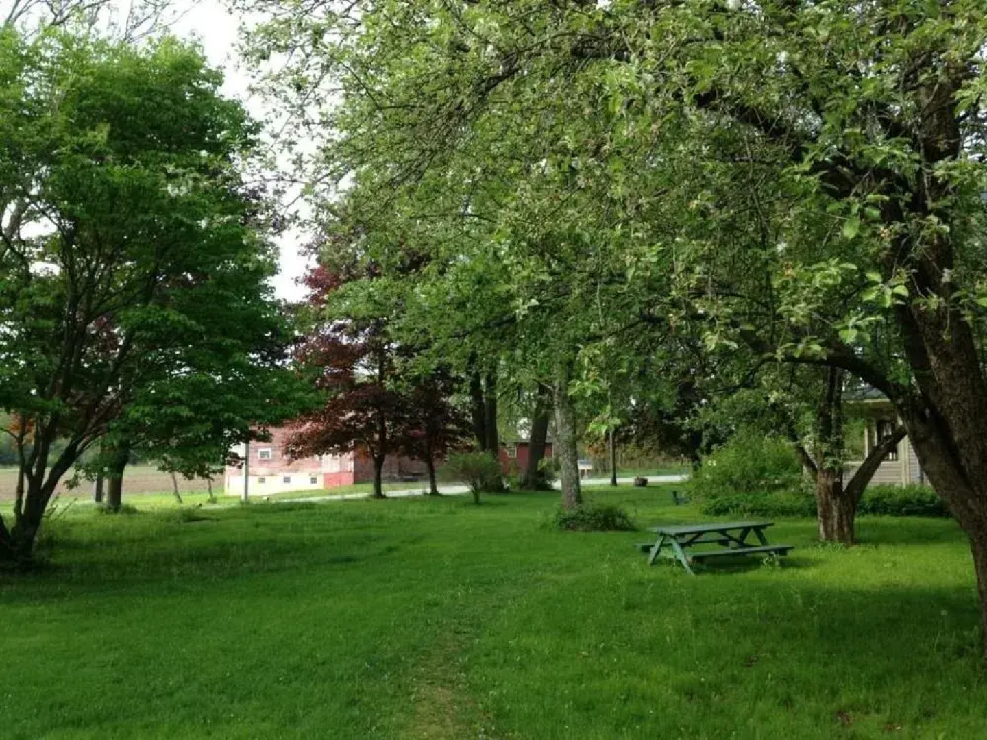 Silver Maple Lodge & Cottages - Bed And Breakfast