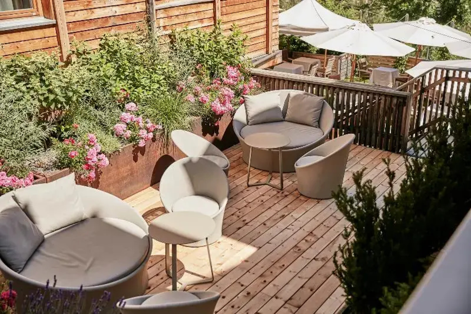 Goldene Rose Karthaus