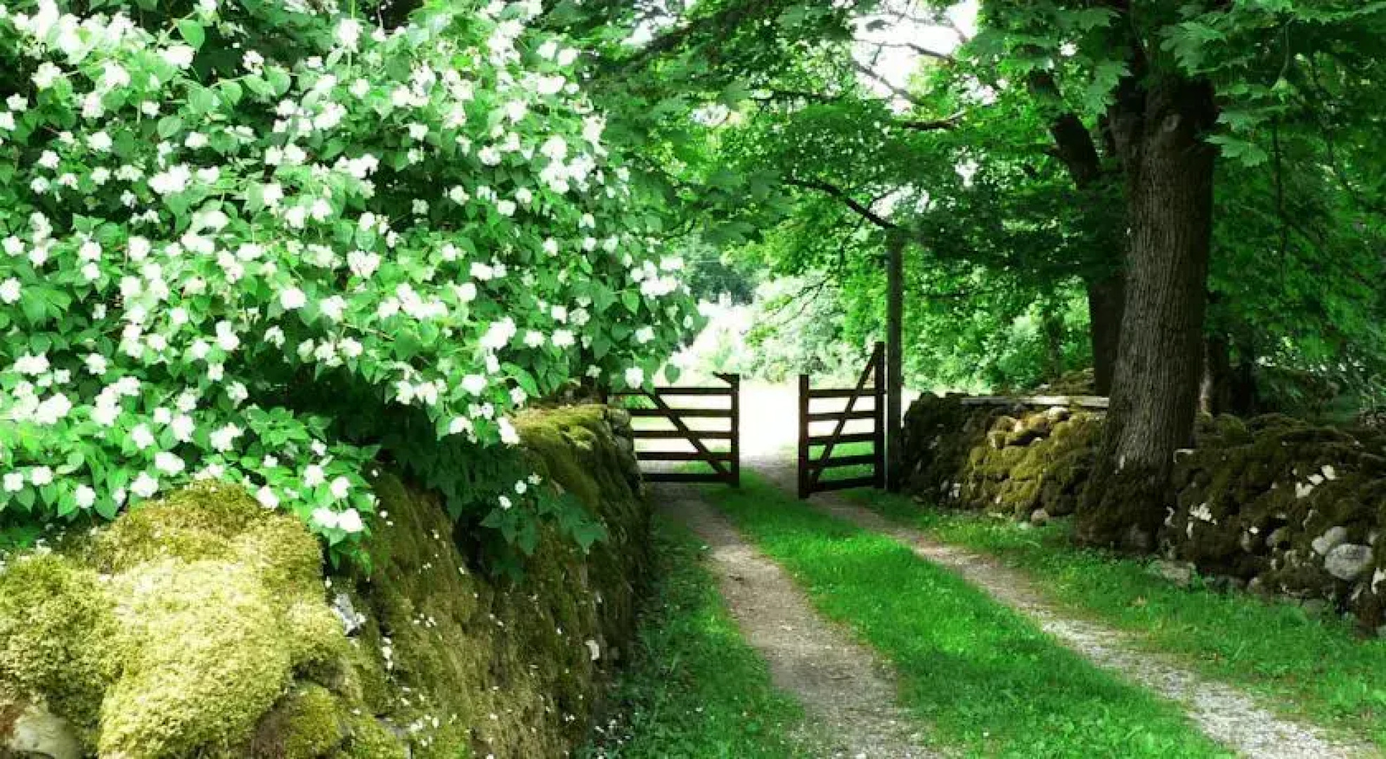 Koguva Jaagu Cottages