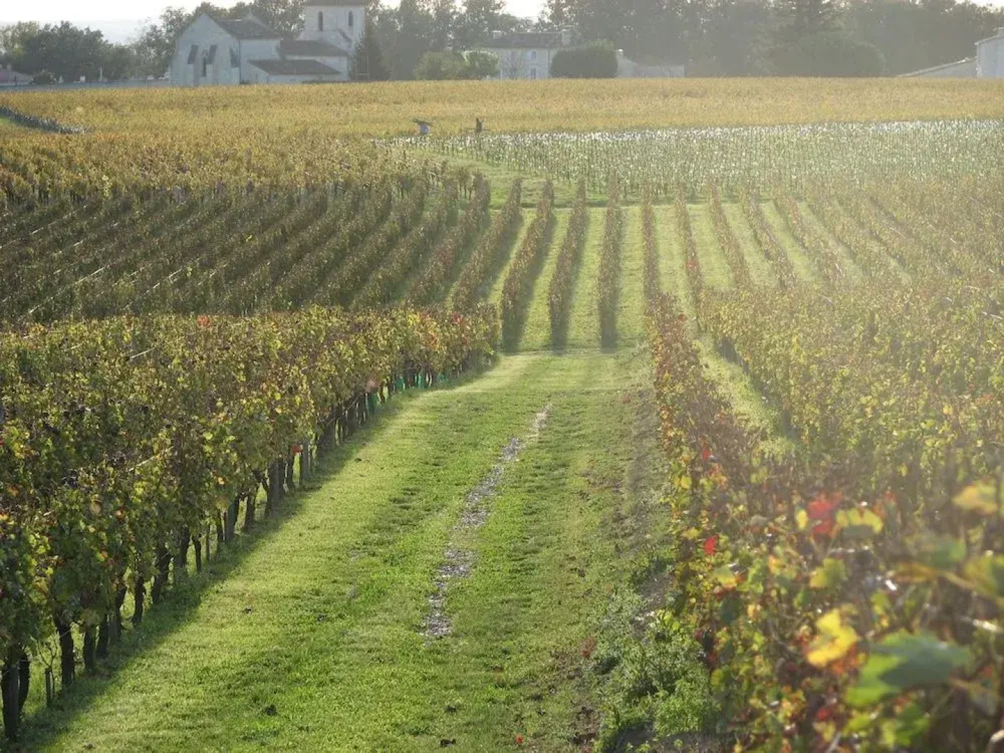 La Villa du Château Belloy