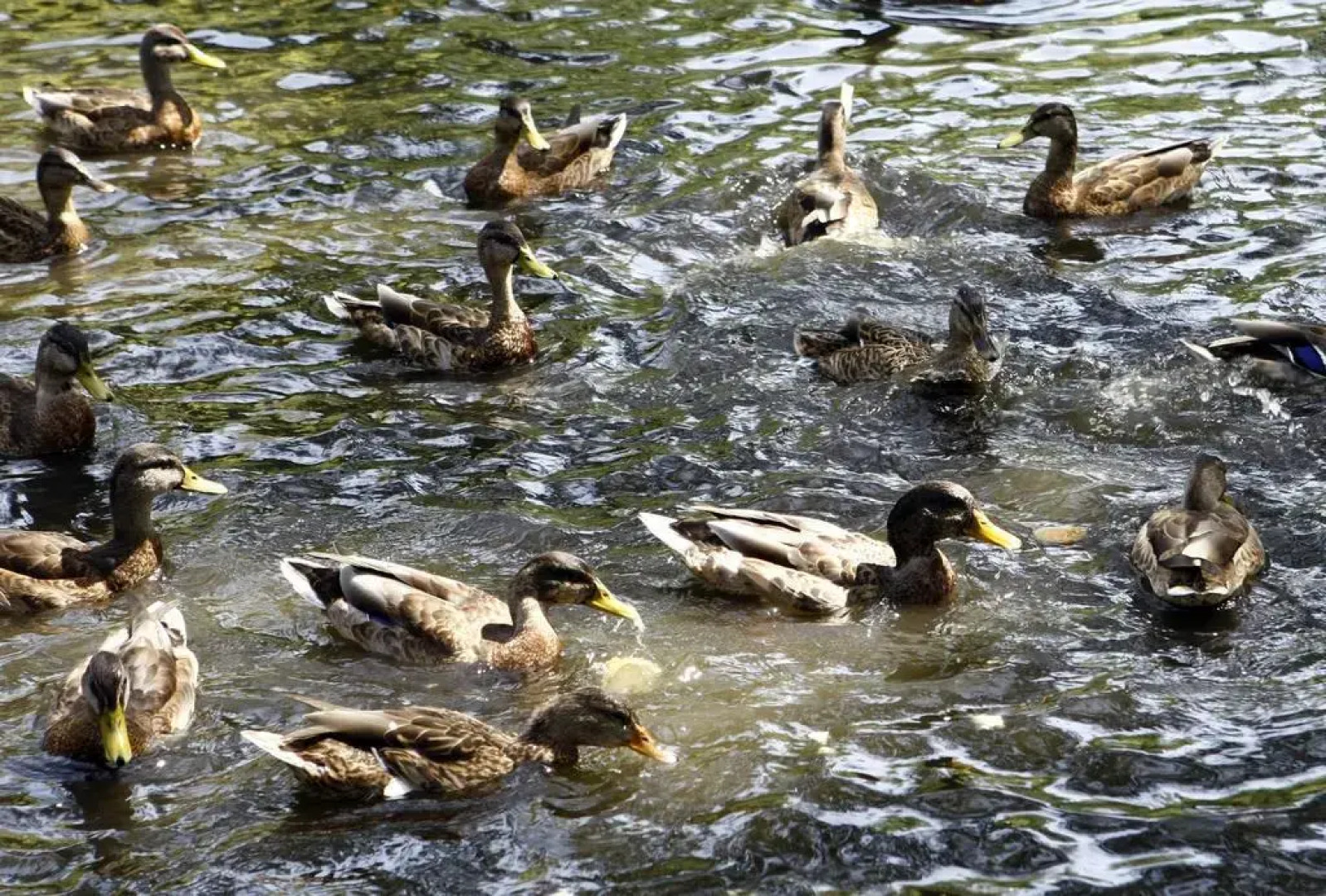 Nyerges Hotel Thermal