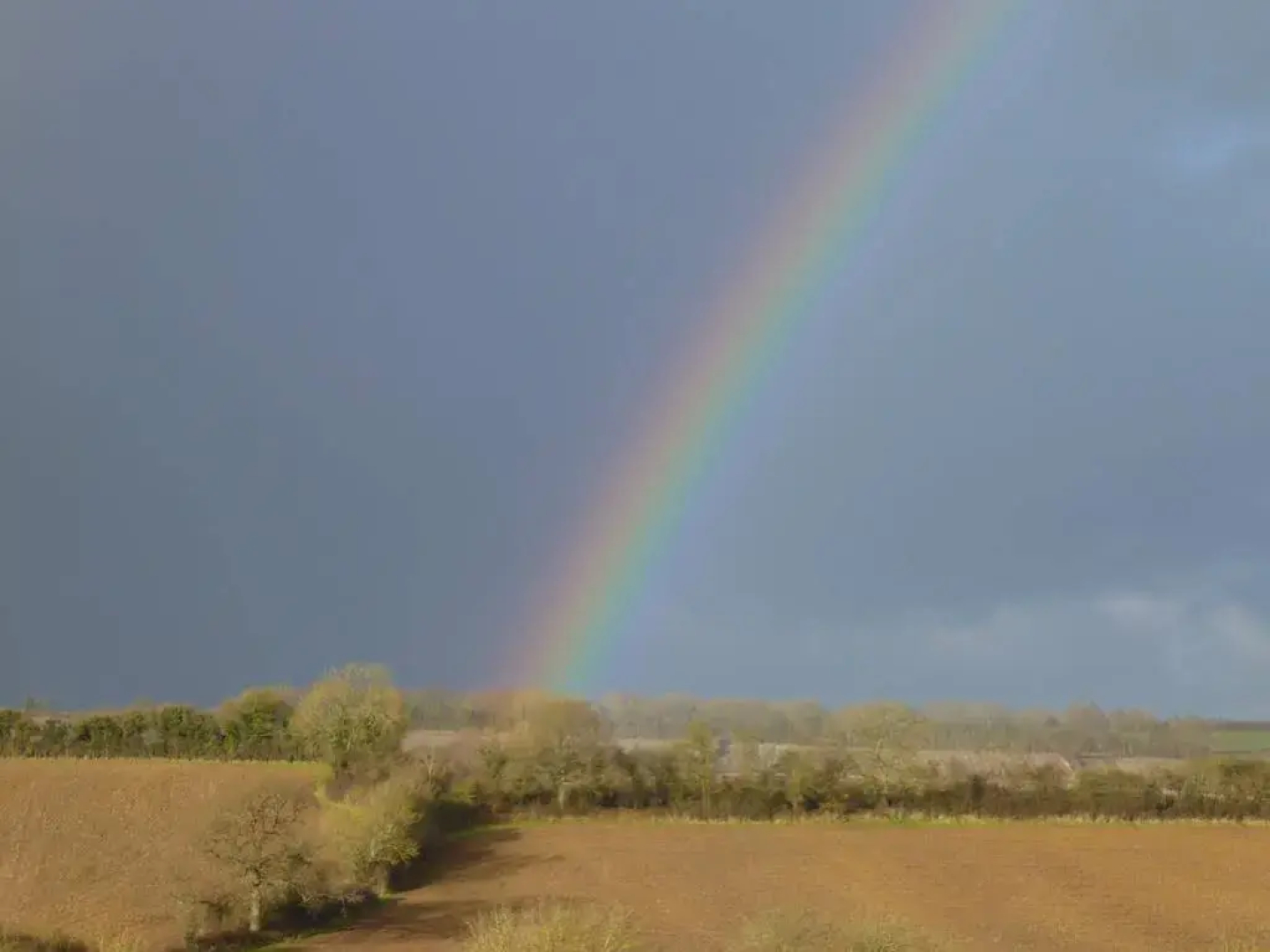 Whidlecombe Farm