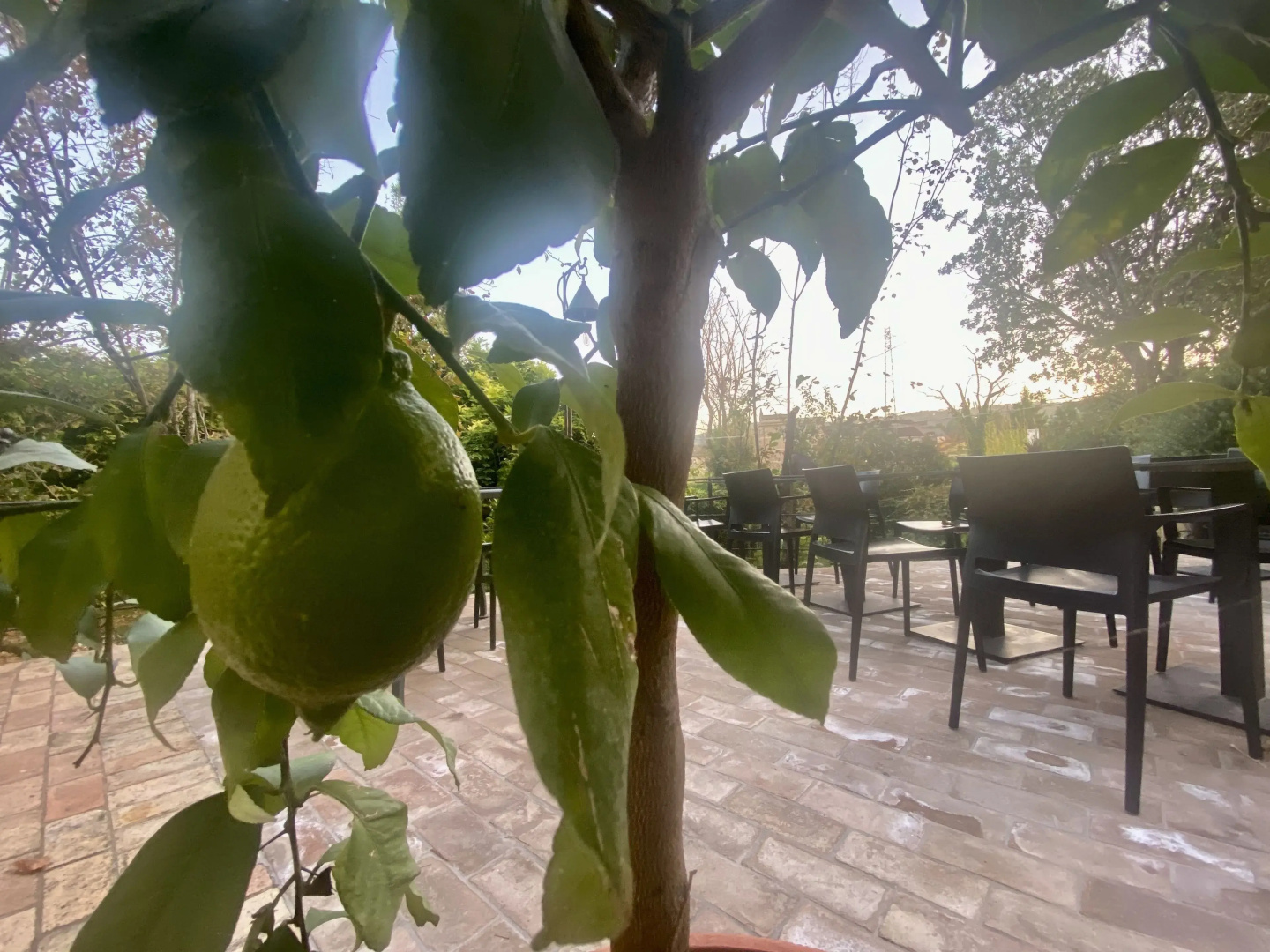 Albergo Mingone