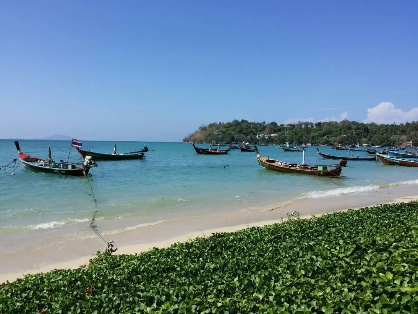 Rabbit Beachside Hotel