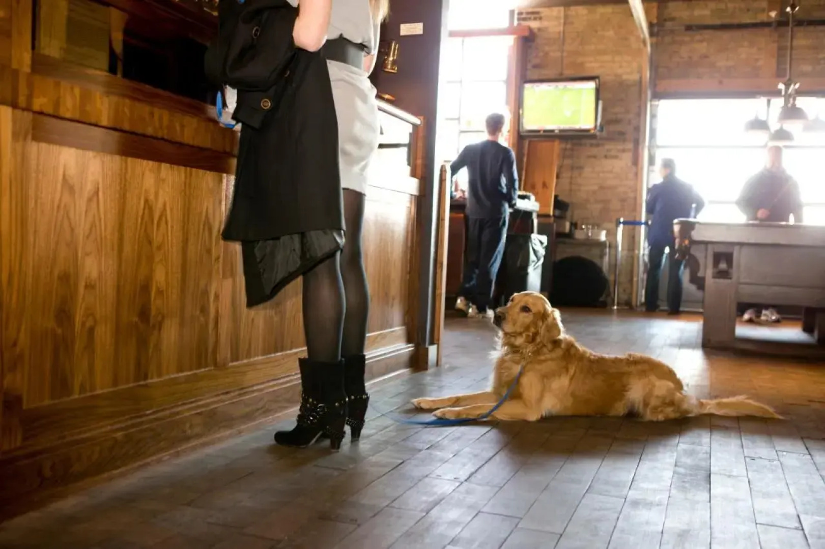 The Iron Horse Hotel