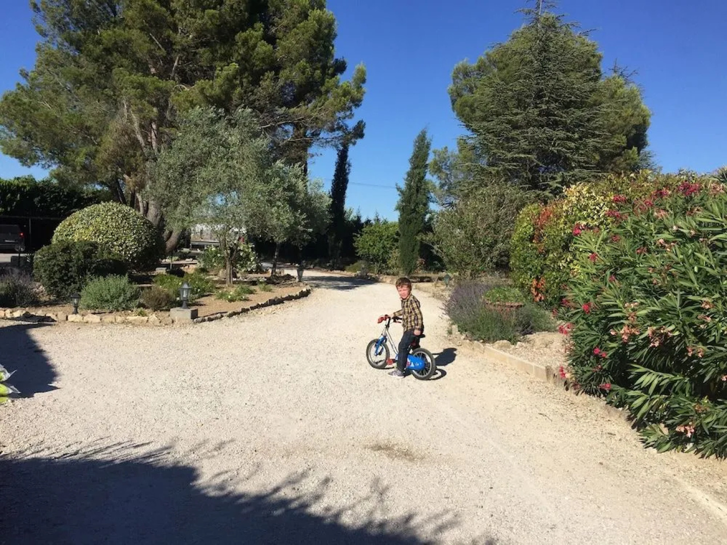 Zocalo Ranch