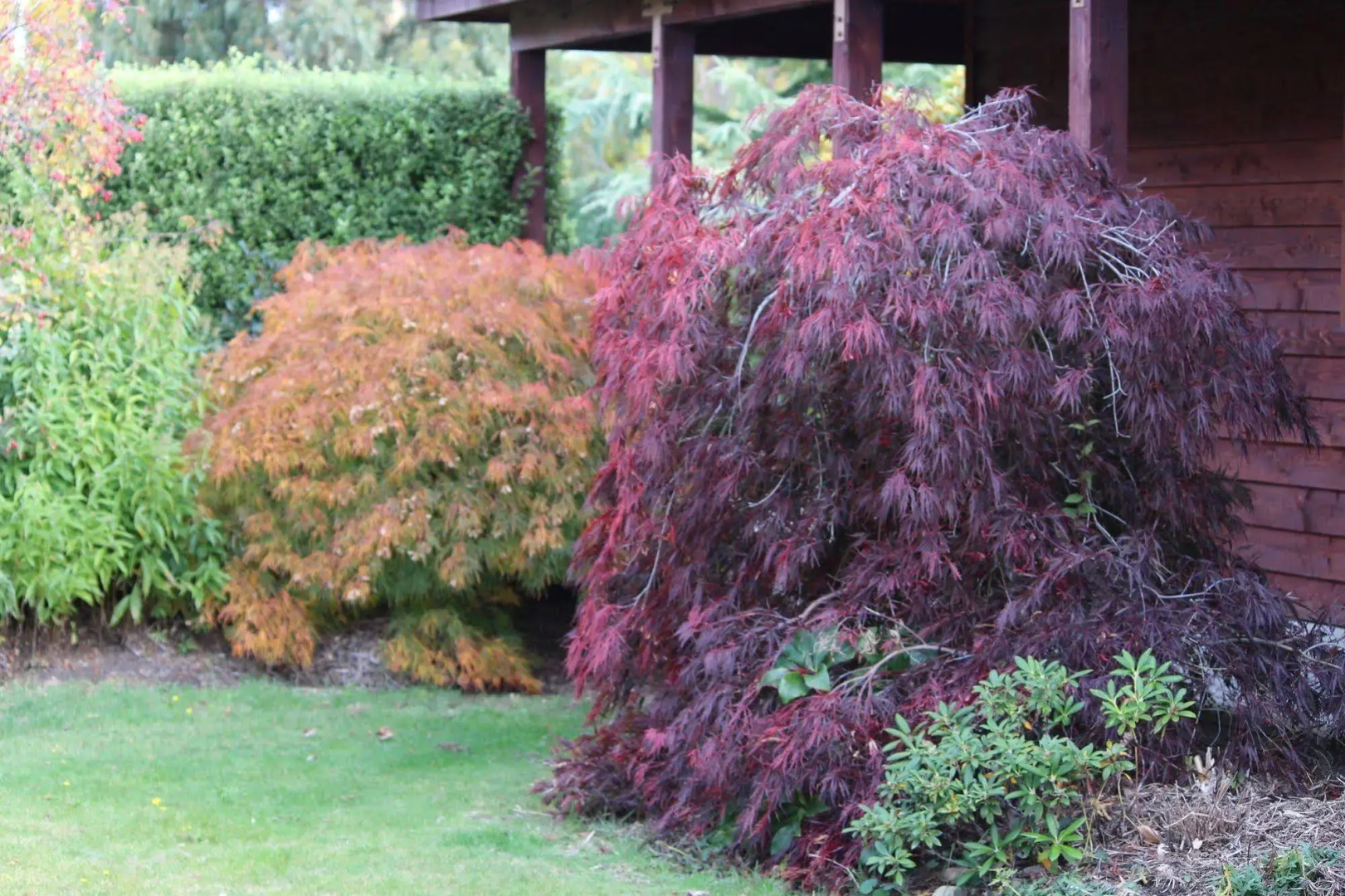 Wanaka Berry Farm and B&B