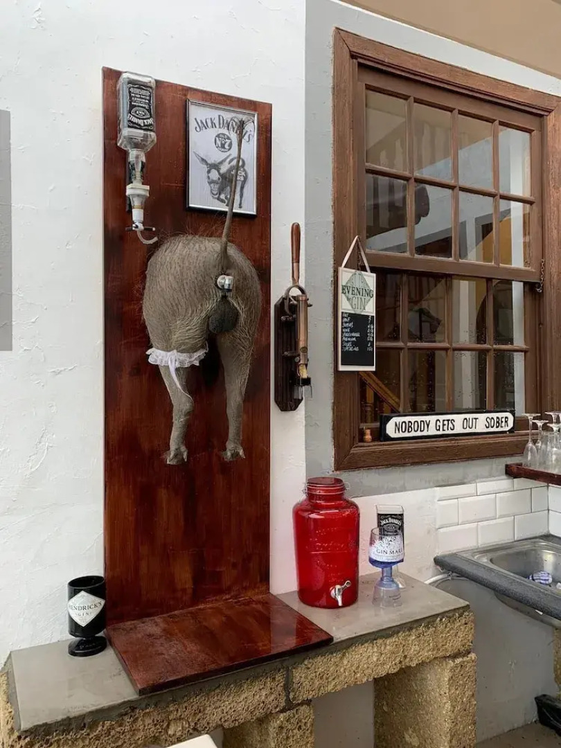 Ziggy's Mountain Retreat