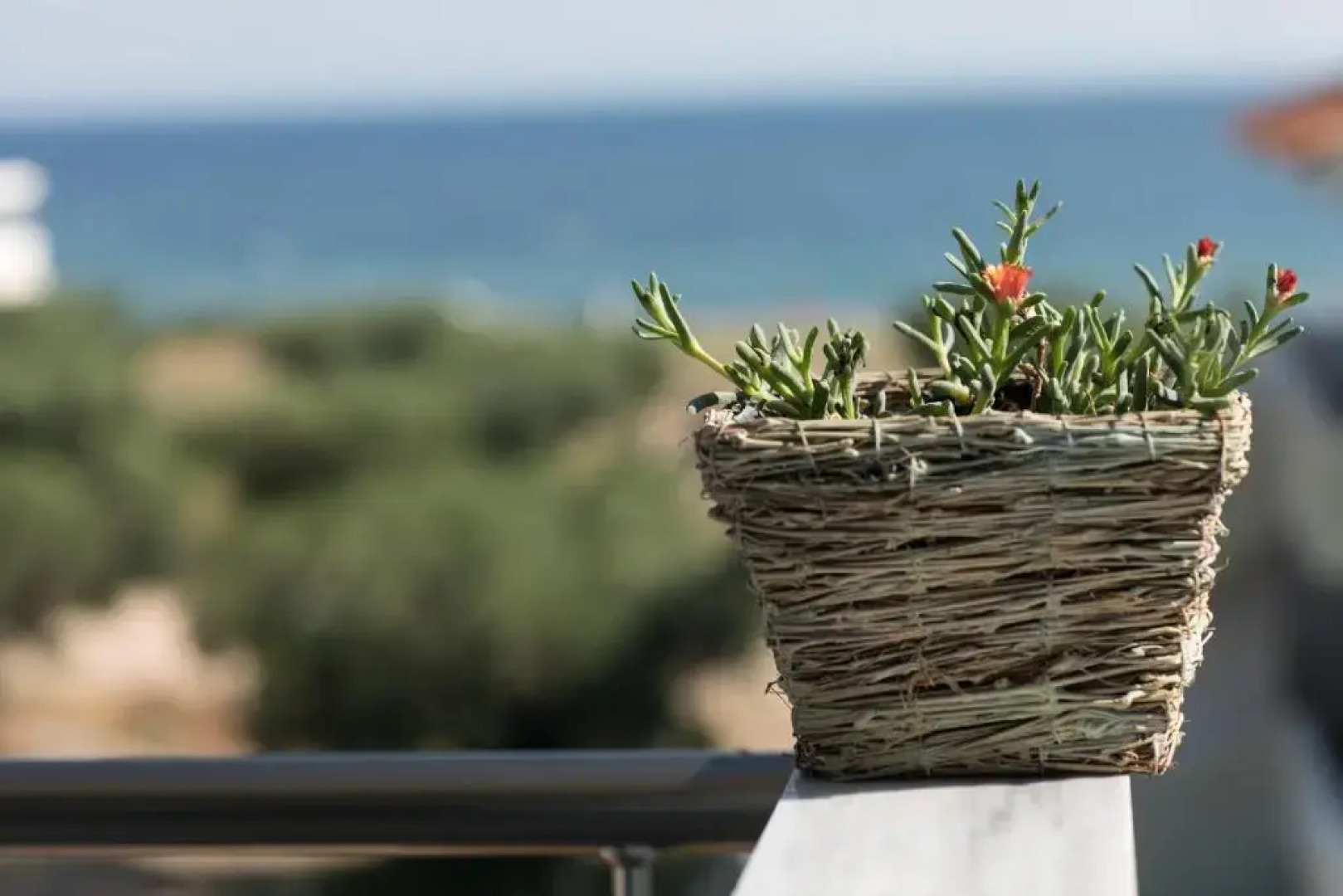 The House Of The Roses Seaview Superior Maisonette 3