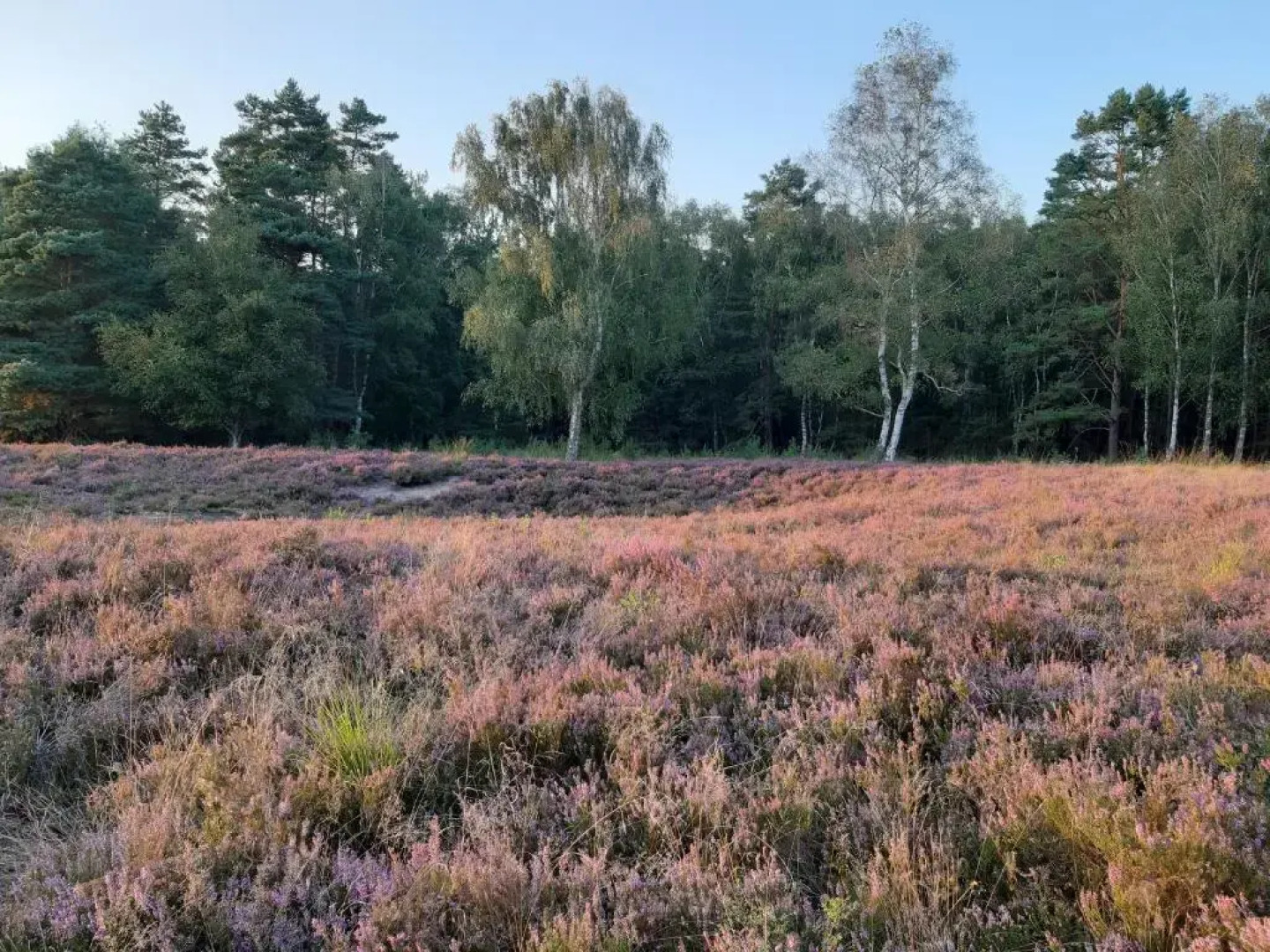 Ferienwohnung Zinne-Wigger