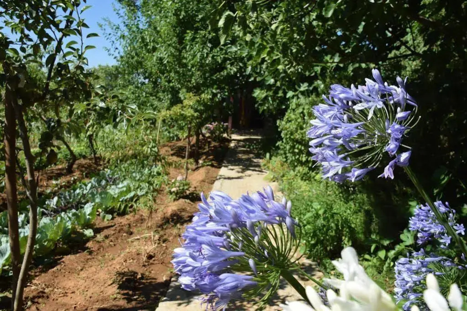 Quinta da Boa Ventura