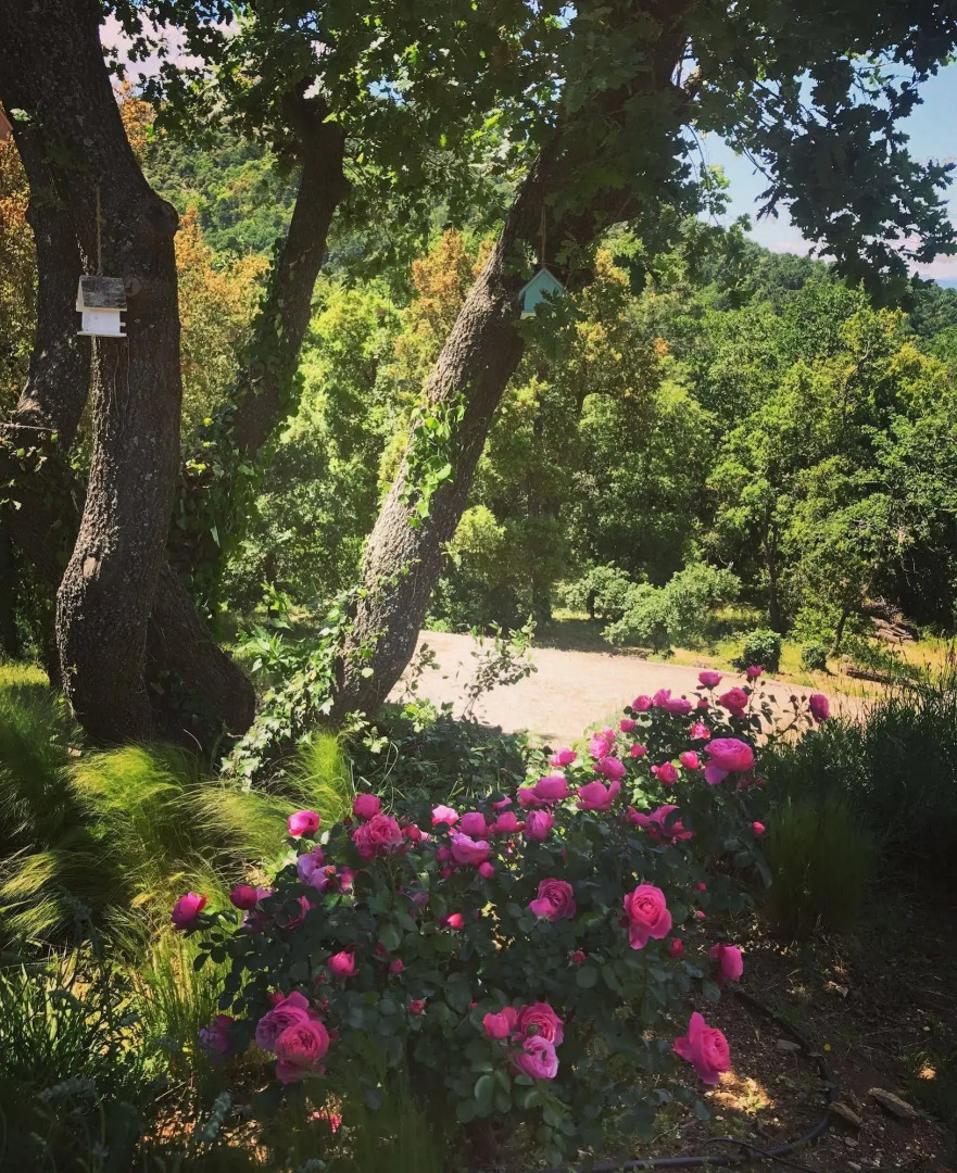 Residence Le Mouron Rouge