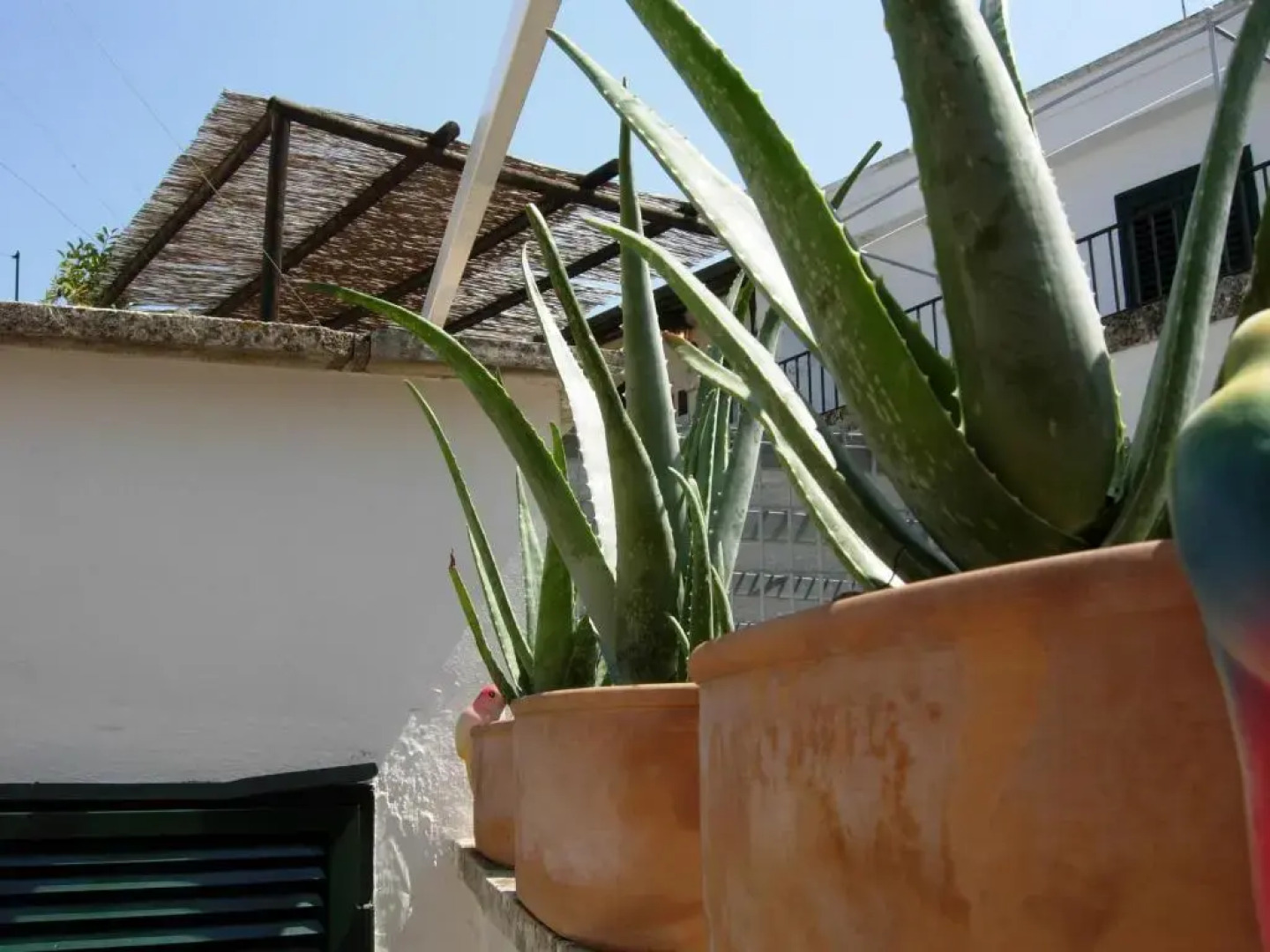 Secret garden in the old town