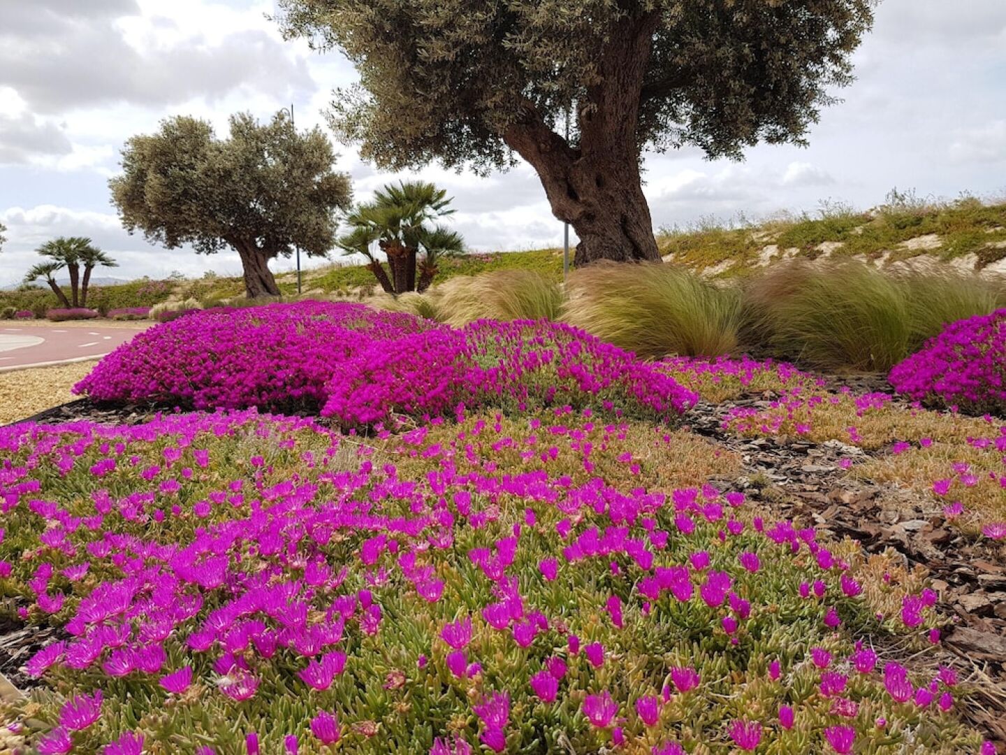 Villa With 5 Bedrooms in Baños y Mendigos, With Wonderful Mountain Vie