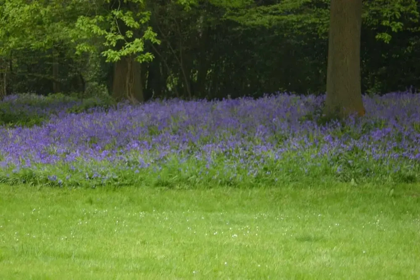 Thimbles Bed & Breakfast