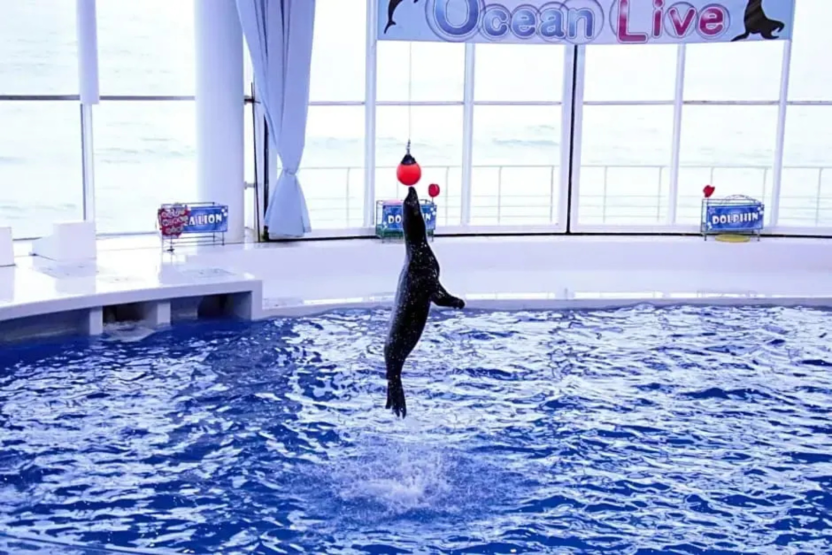 Tabist S.hyde Park Koga Station