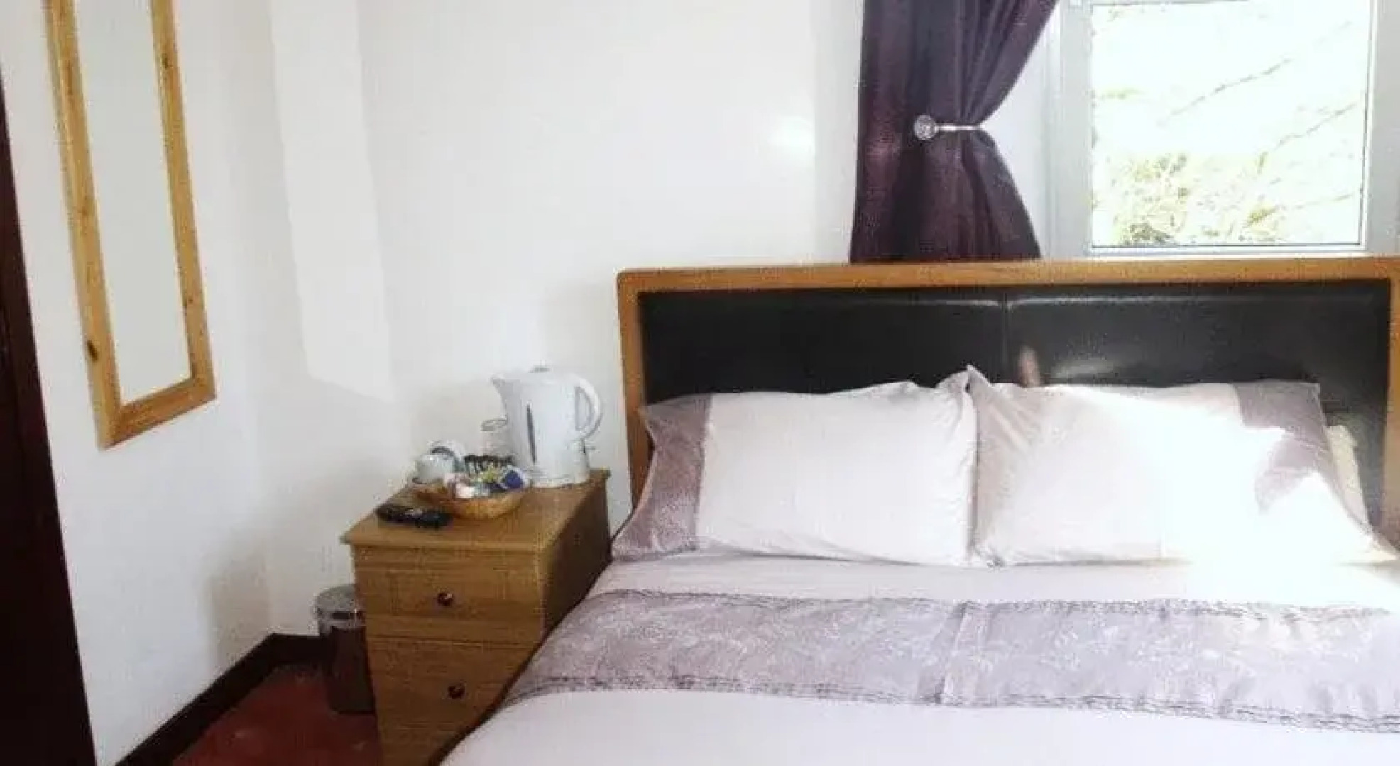 The Brown Trout Hotel