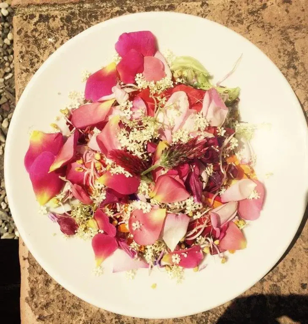 Agriturismo Piombaia