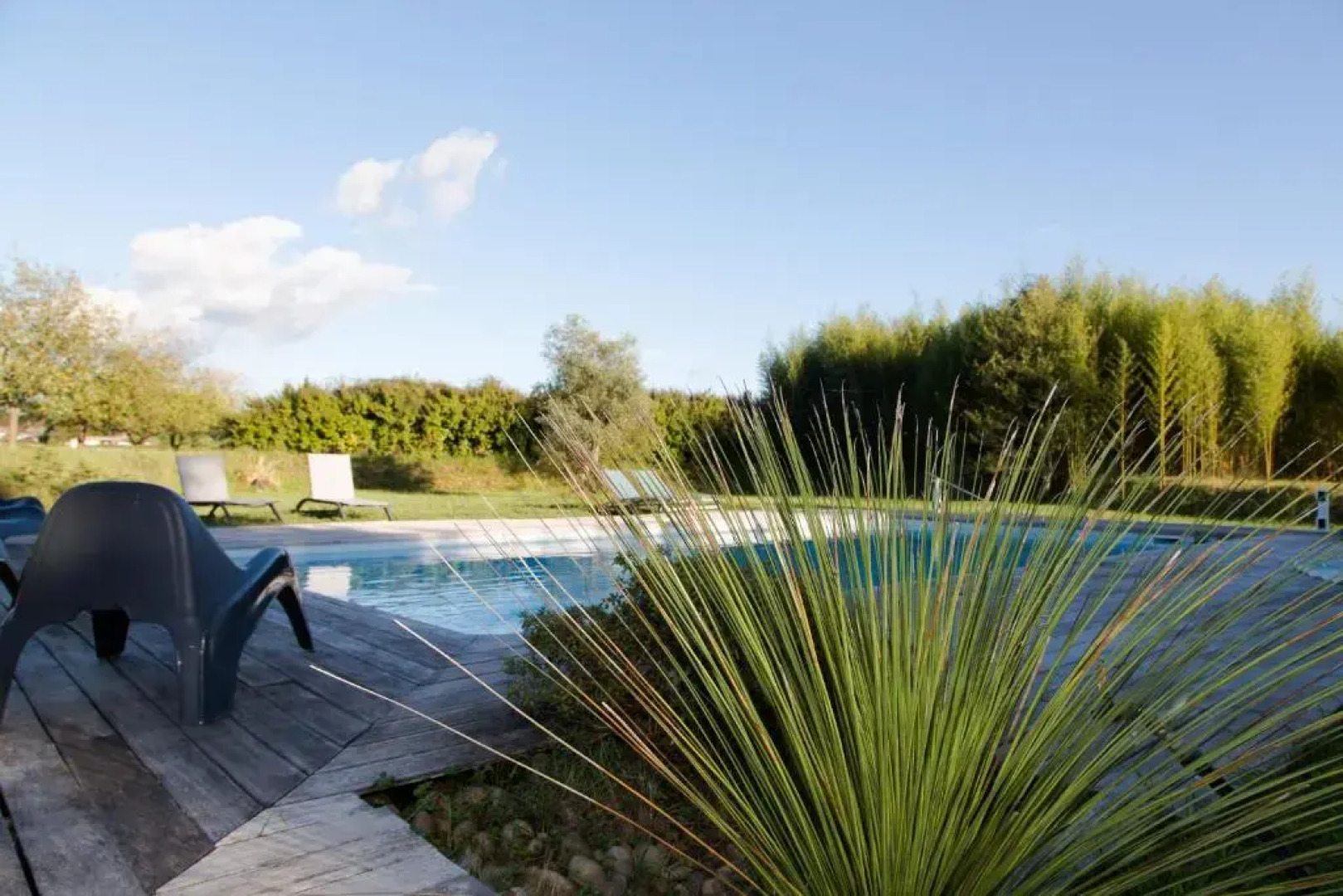 La Caverie De Peyroux A Orthevielle (40300)