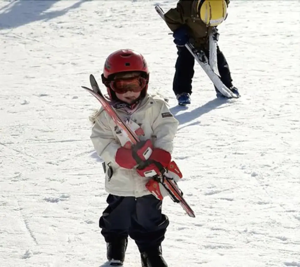 Havsdalsgrenda Apartments