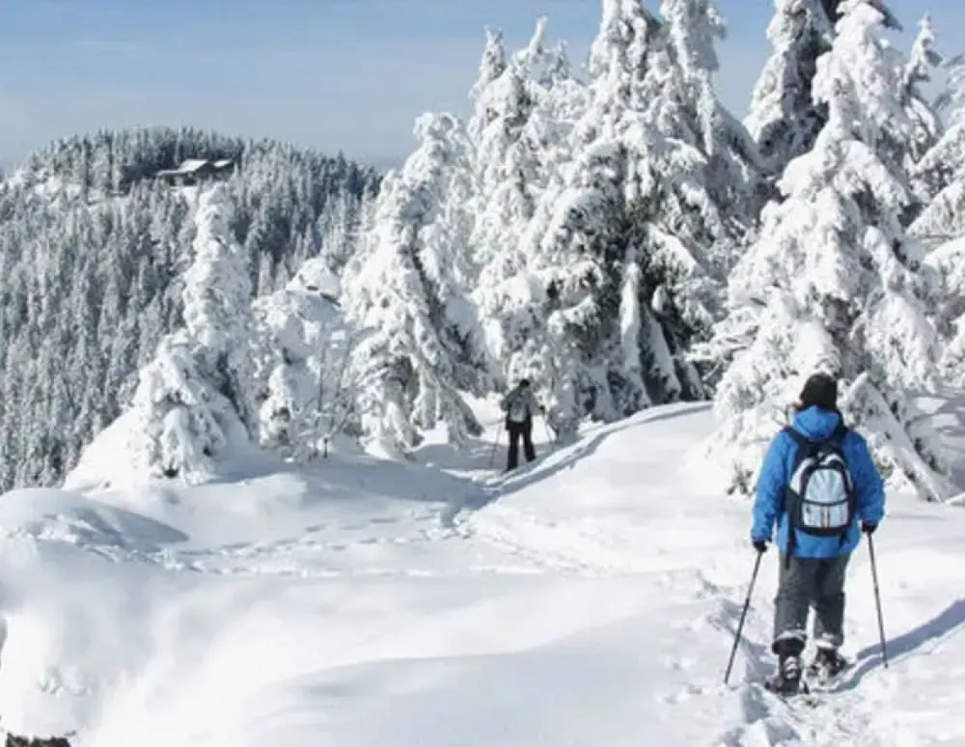 Mountain Apartment in Bad Kotzting