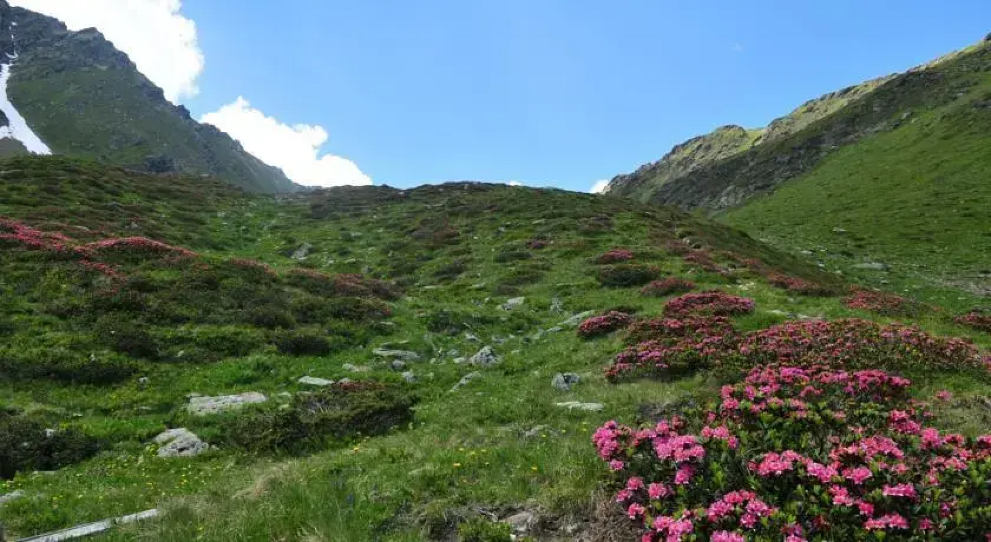 Apartment Kleinlercher