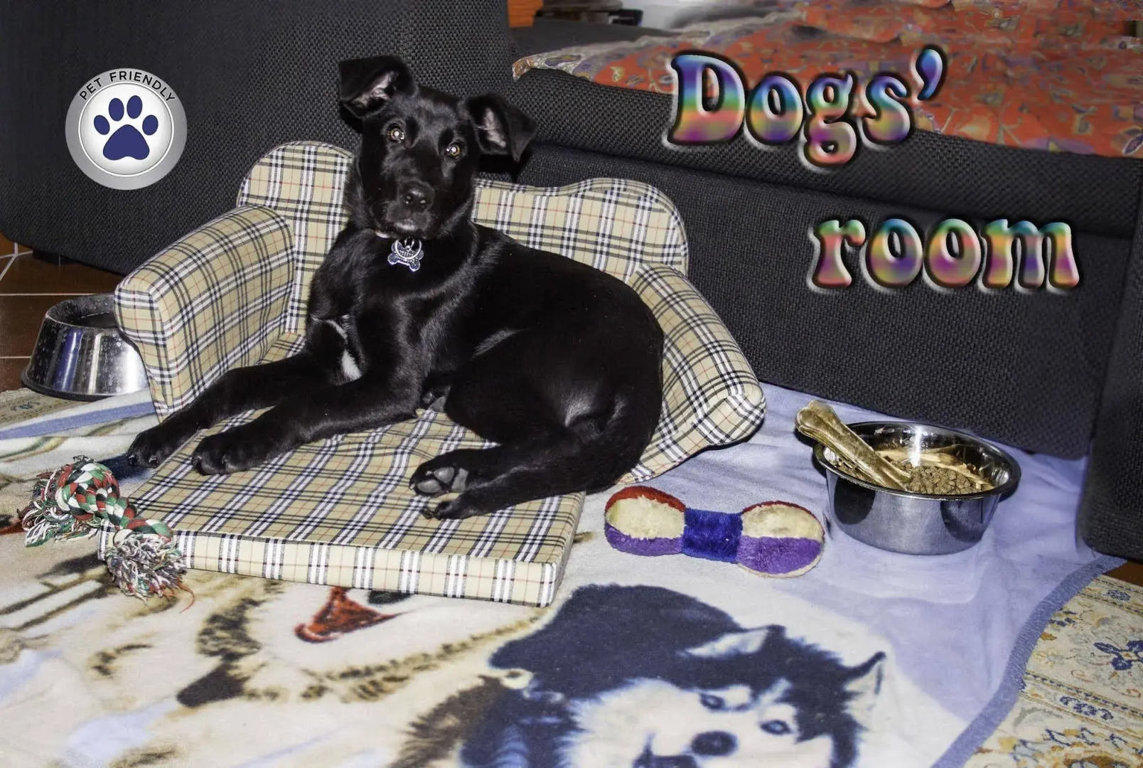 Trilly Bed & Breakfast