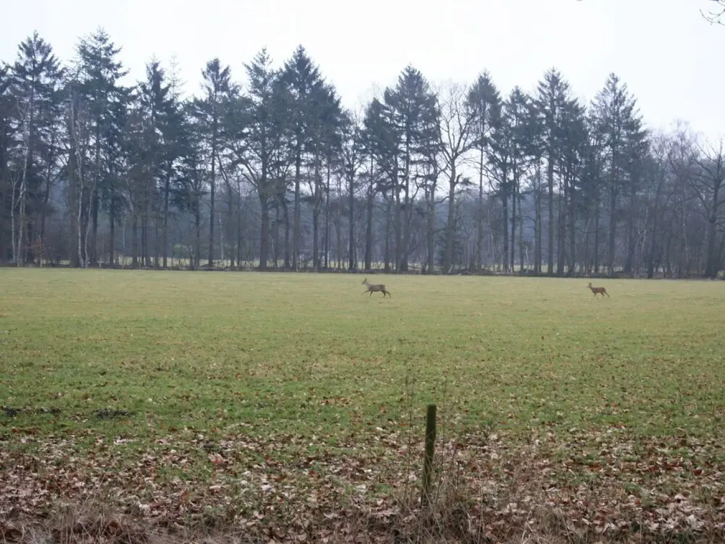 Cozy Holiday Home in Baarn with Private Garden