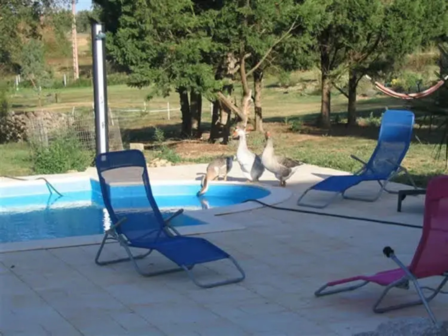 Chambres dHotes Au Chien Bleu