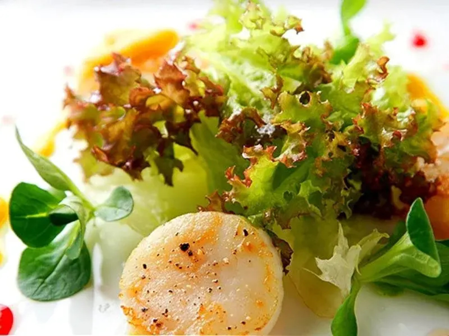 Shikotsuko Suizantei Club