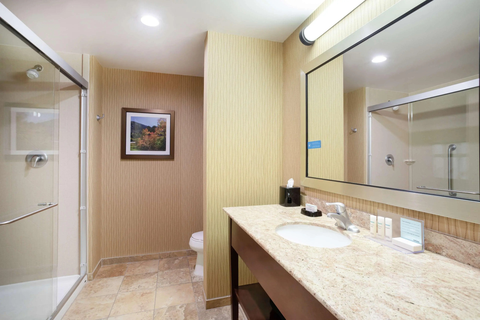 Hampton Inn & Suites Denver/South-RidgeGate