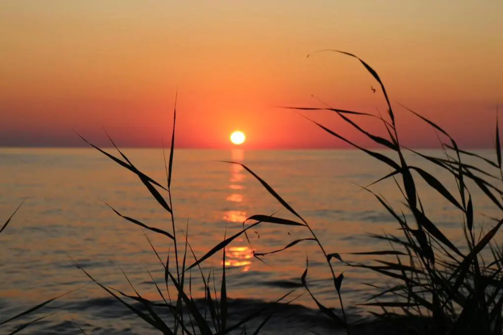 Järve Holiday Village