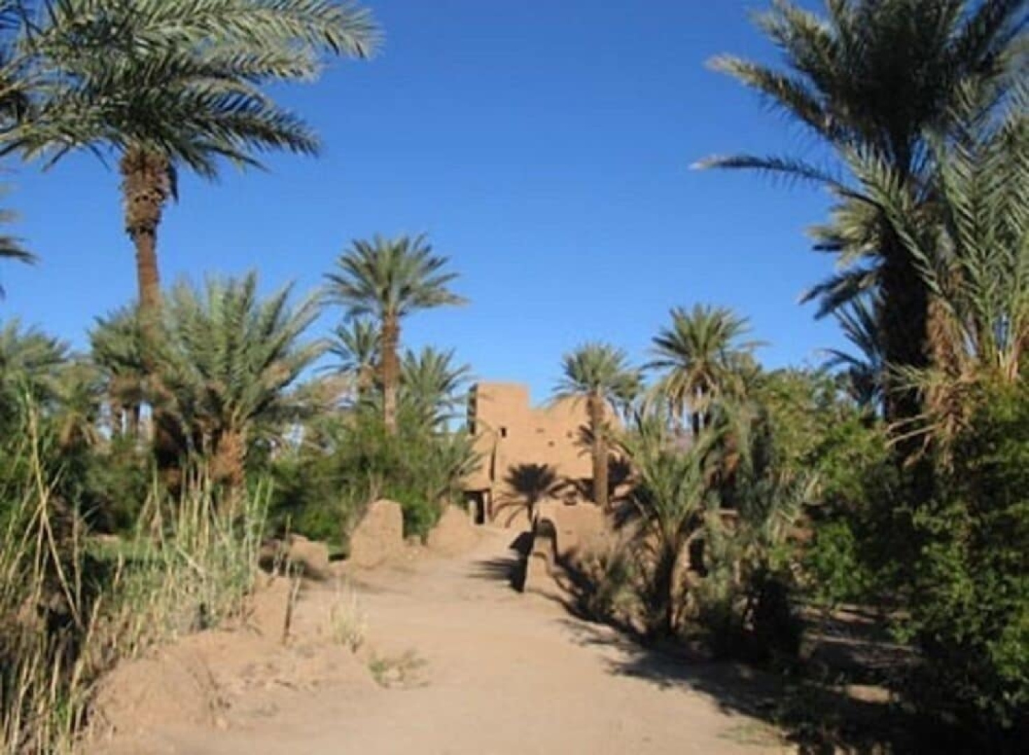Kasbah Berbere Ouriz