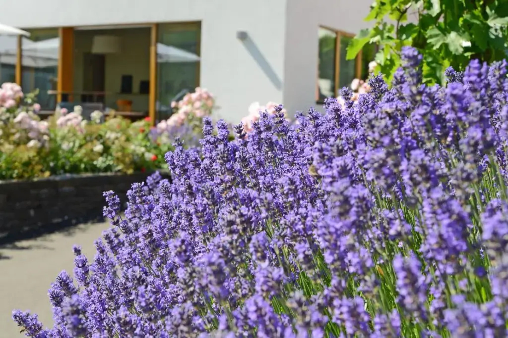 WeinKulturgut Longen-Schlöder