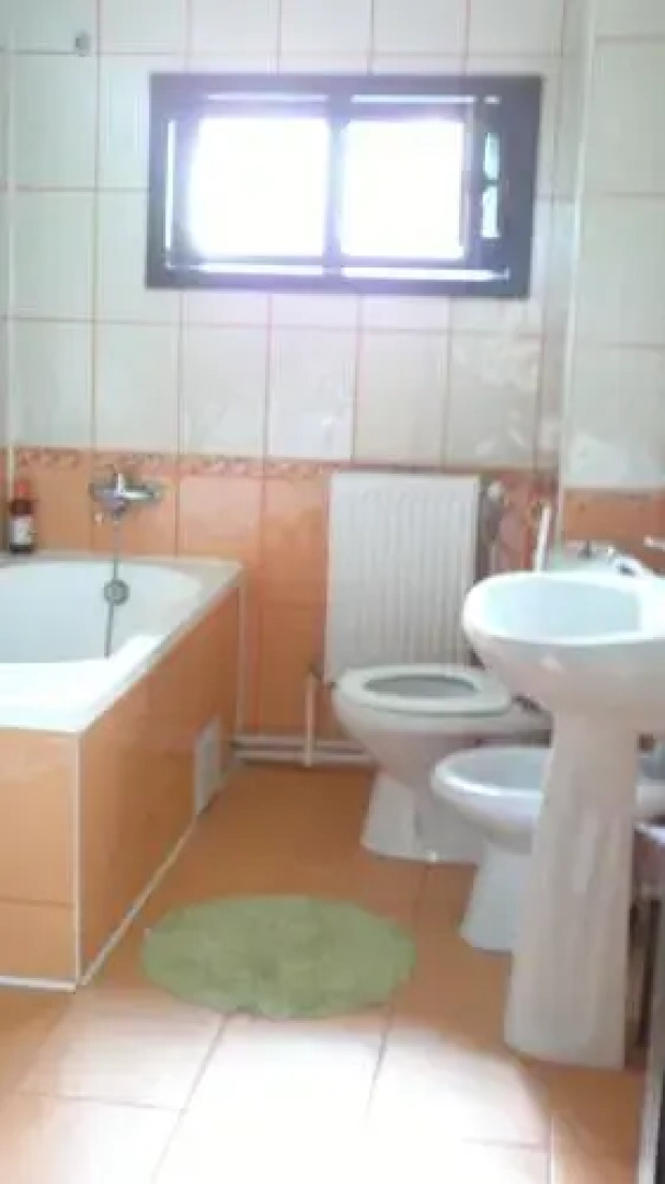 Pensiunea Daria Putna