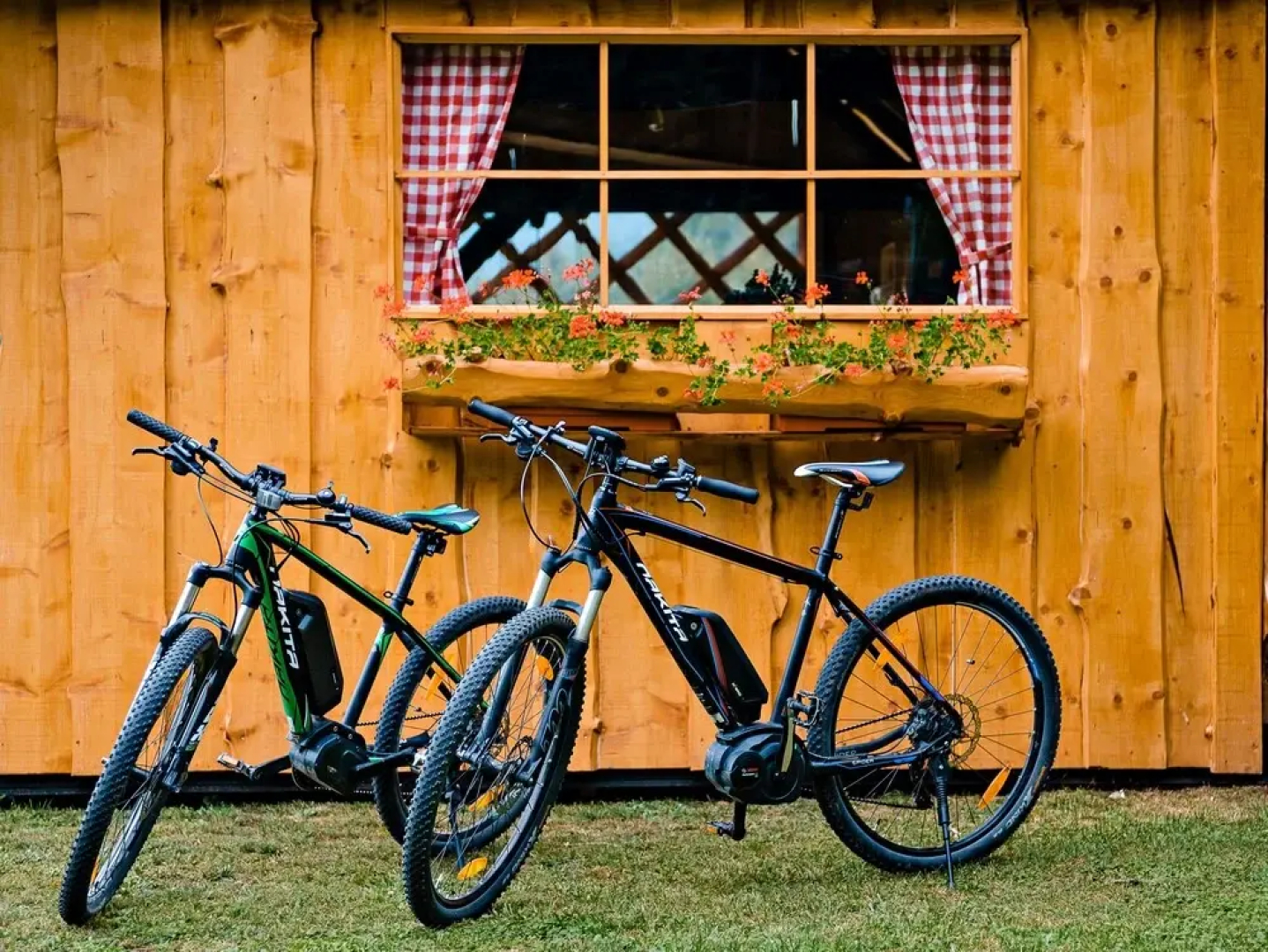 Glamping FOREST EDGE