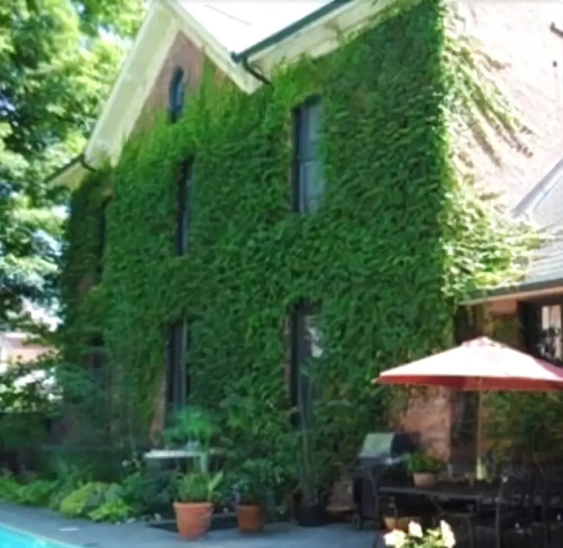 1000 Islands B and B Brockville