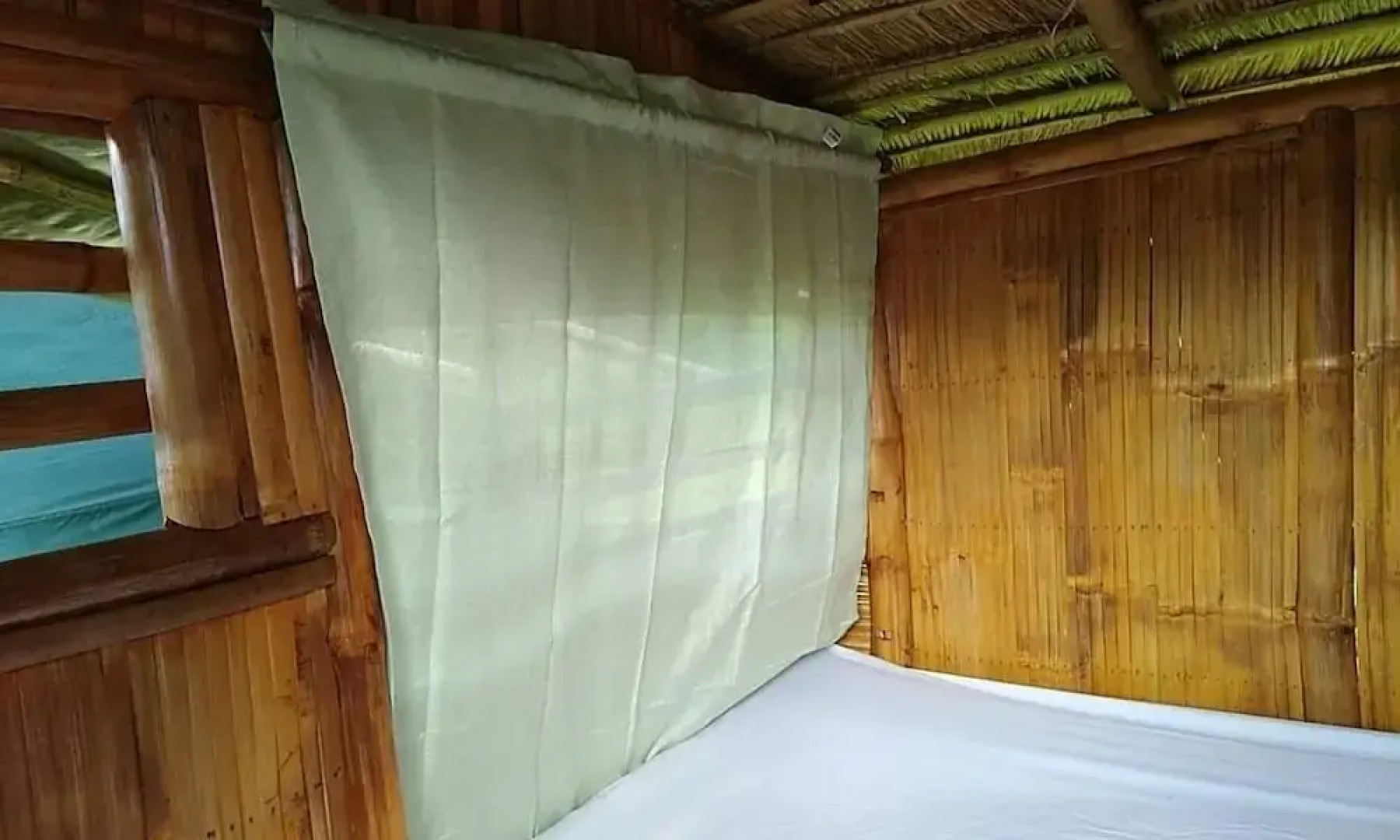 Pacific Buddies - Campsite