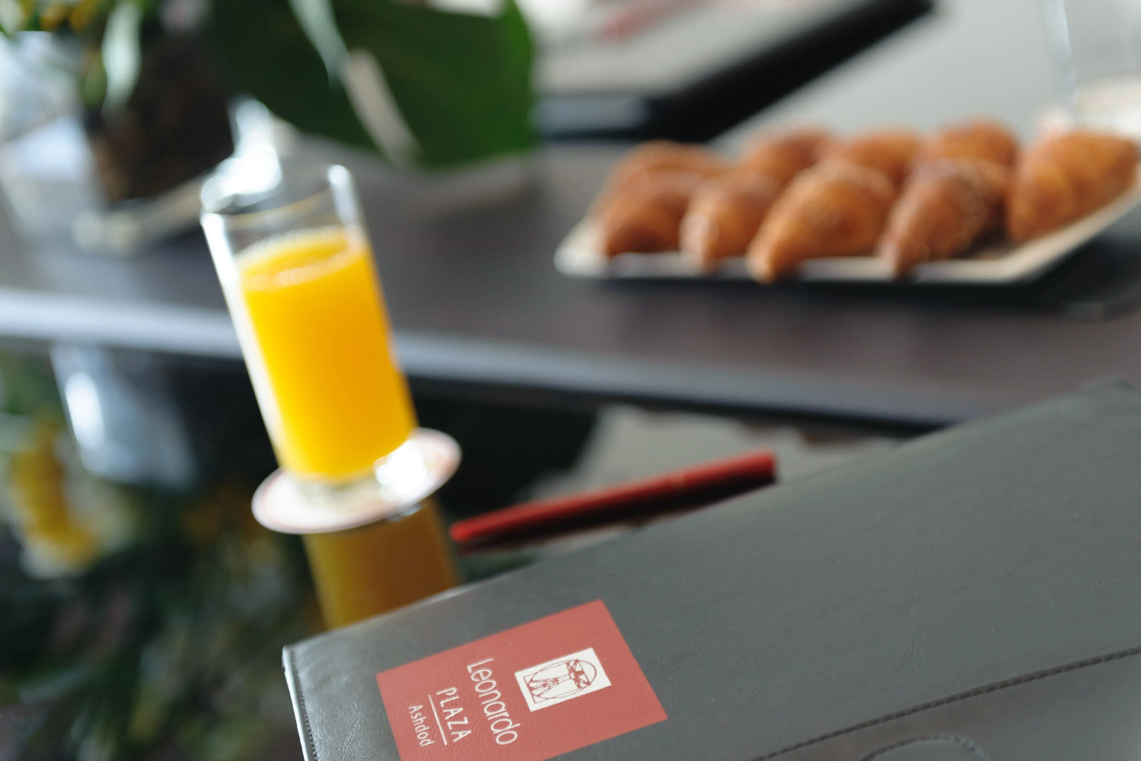 Leonardo Plaza Ashdod