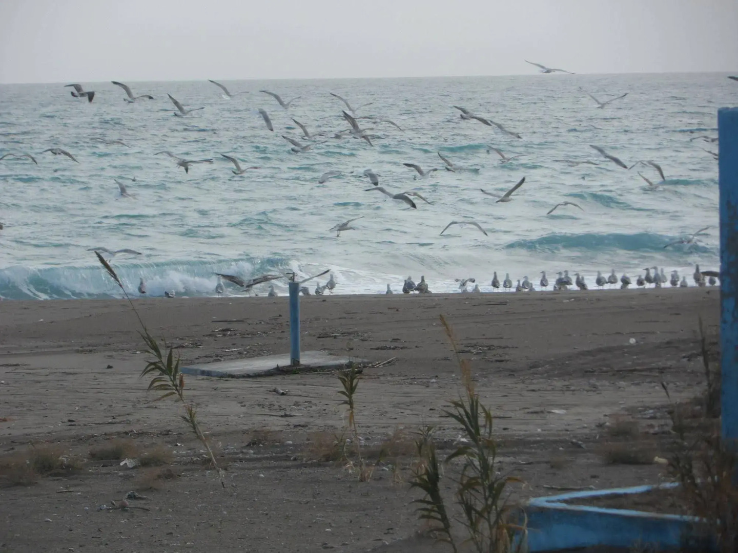 Kastri Boutique Beach