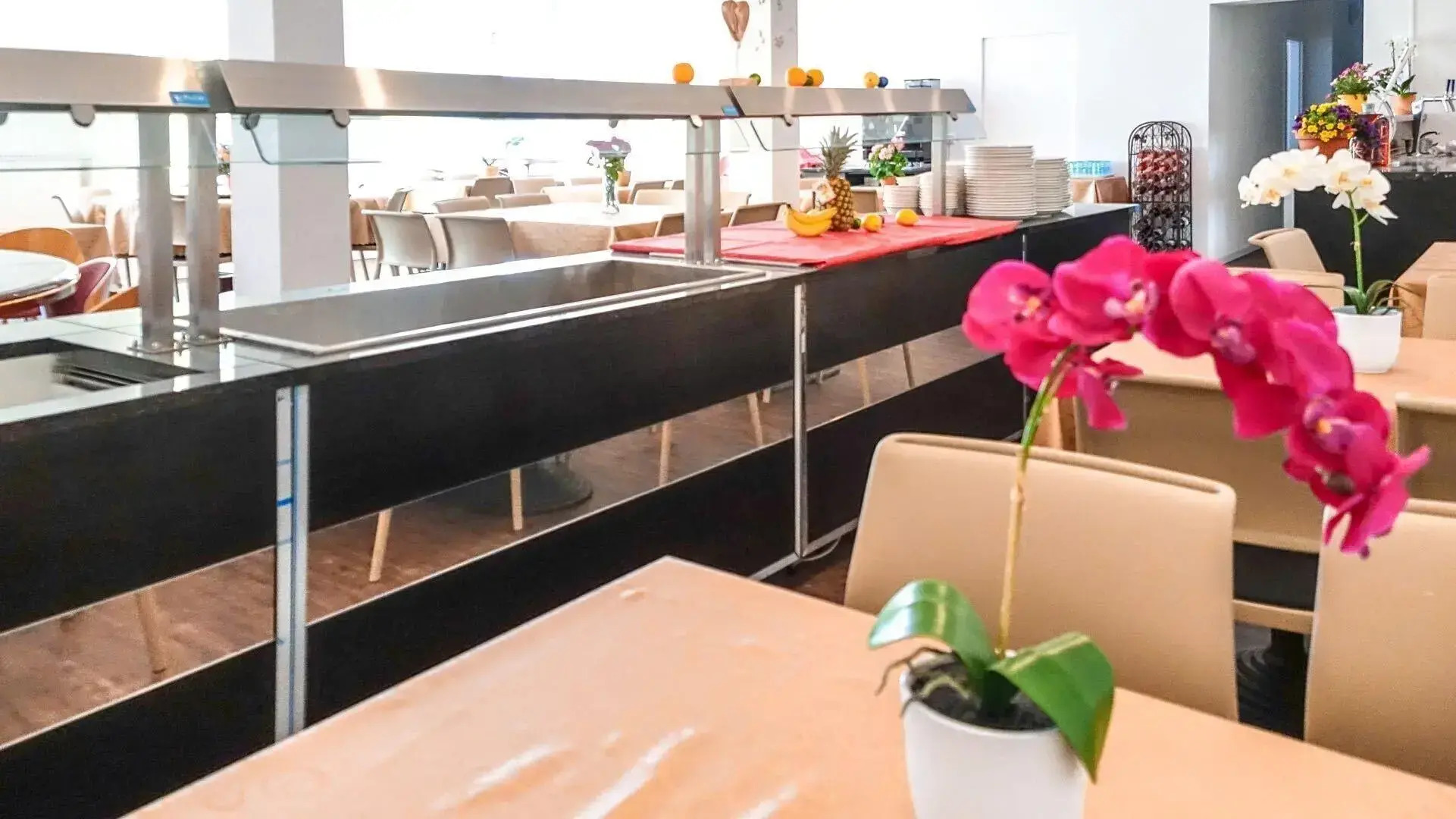 Galeria Hotel Walldorf