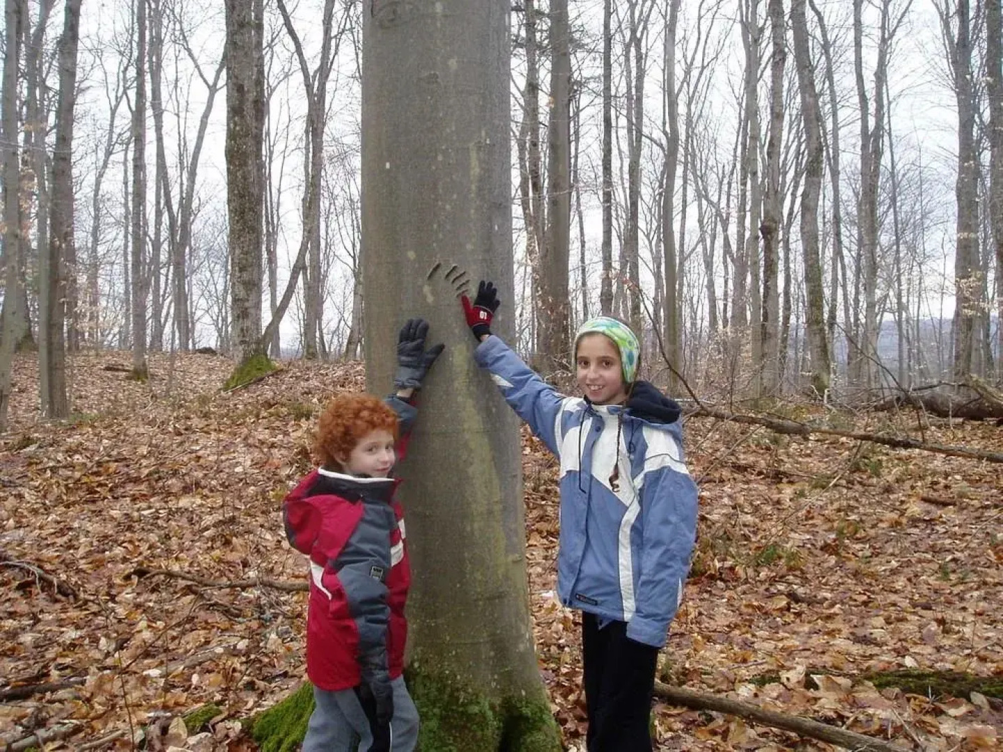 Bondi Village Resort