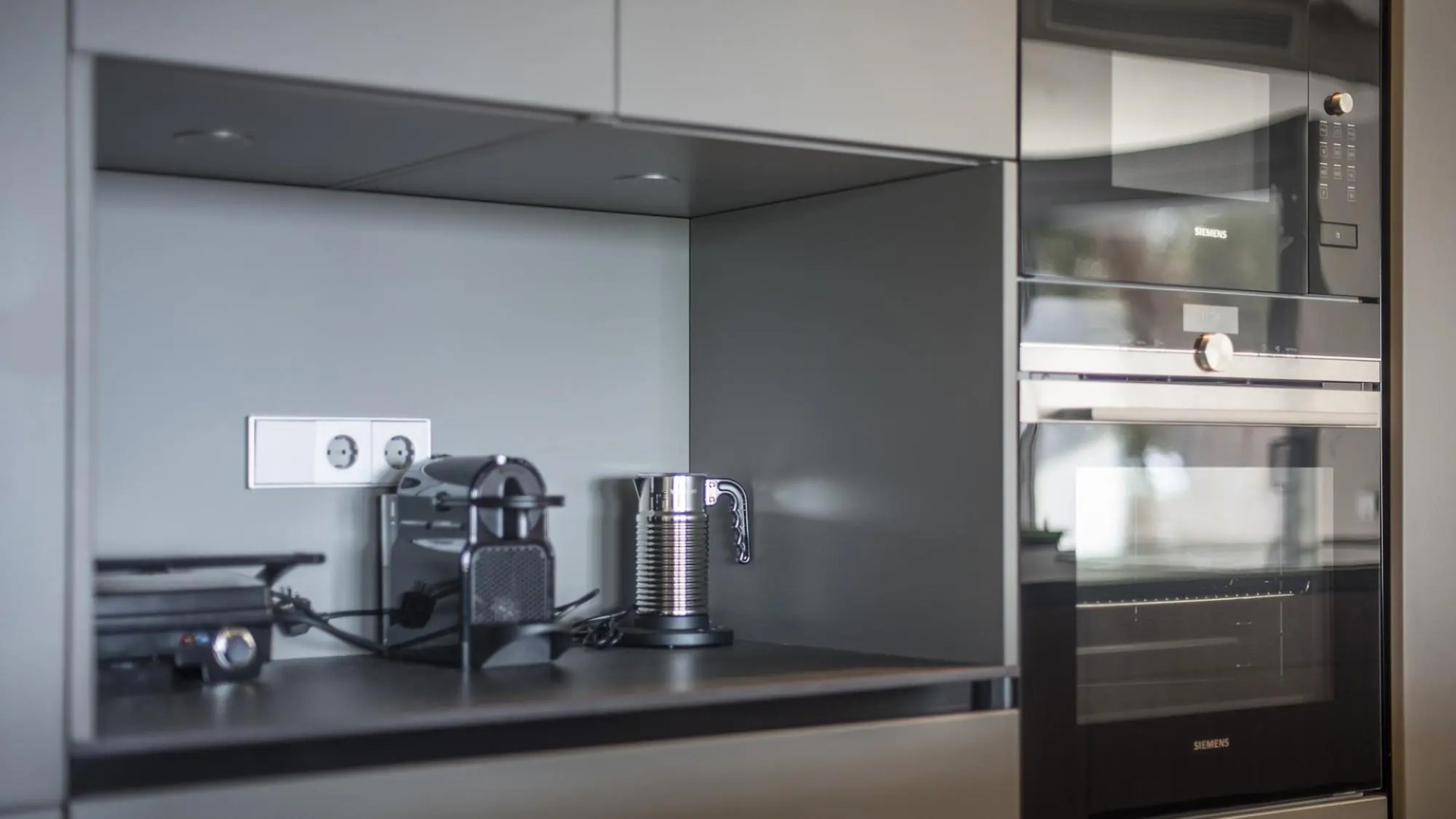 TH85-Limonium-9 in Tarragona