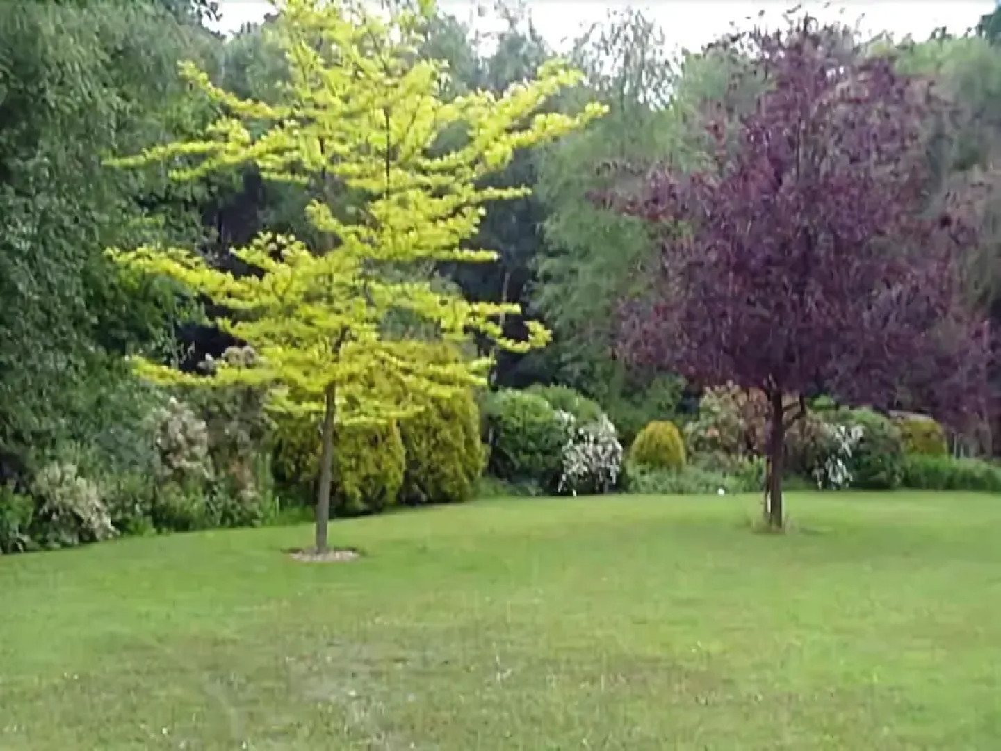 Linchens Bed and Breakfast